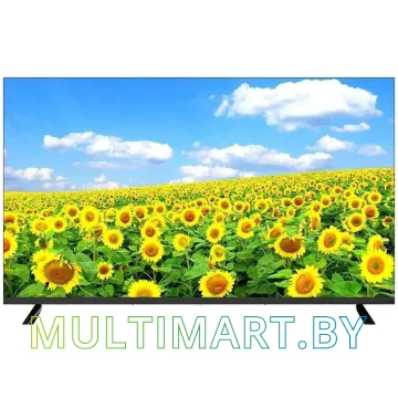 Телевизор Aiwa 43NG-U4300B